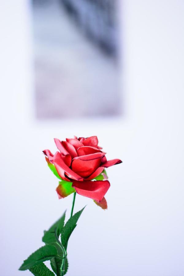 Rose Garden Appartement Privlaka  Buitenkant foto